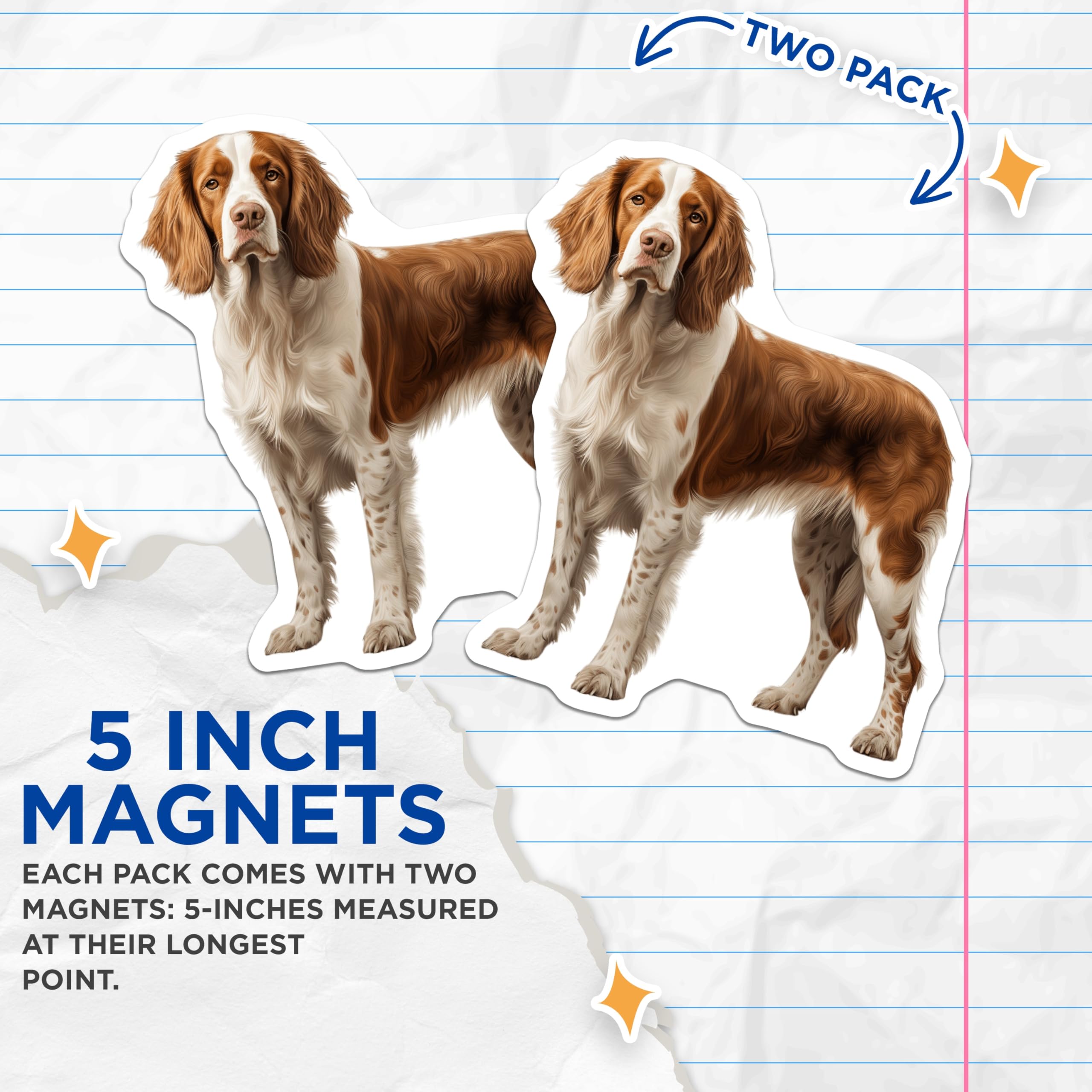 (2 Pack) Welsh Springer Spaniel Magnets - Dog Lover Refrigerator Decor - Pet Owner Kitchen Art - 5 Inches On Longest Side - Thick Durable Magnet - Made in USA - MAG26211