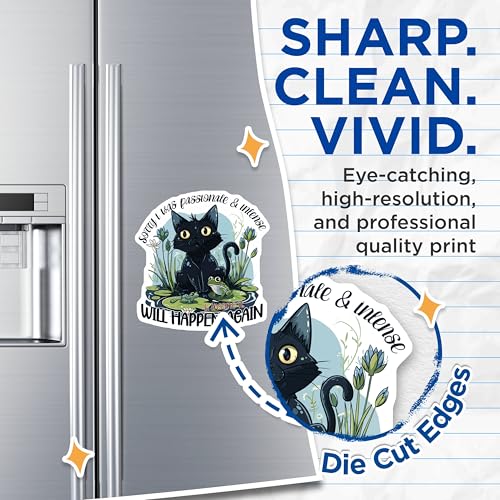 (2 Pack) Funny Cat Magnets - Cute Animal Magnets - Quirky Fridge ations - Humorous Black Cat Magnets - 5" On Longest Side - for Cars, Fridges, Toolboxes - Made in USA - MAG4353
