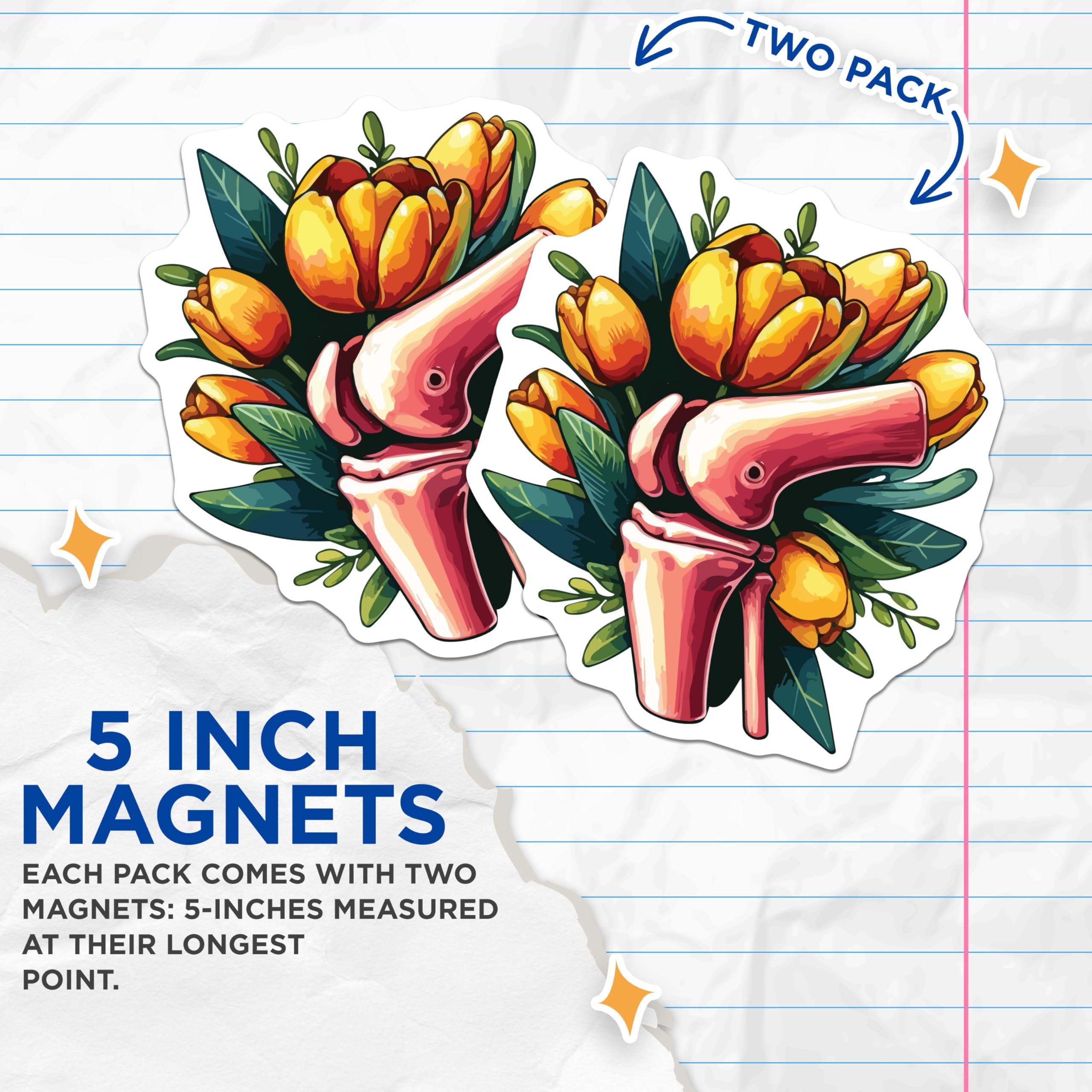 (2 Pack) Knee Joint Anatomy Magnets - Floral Human Skeleton - Orthopedic Science Decor - 5 Inches On Longest Side - Thick Durable Magnet - Made in USA - MAG19718