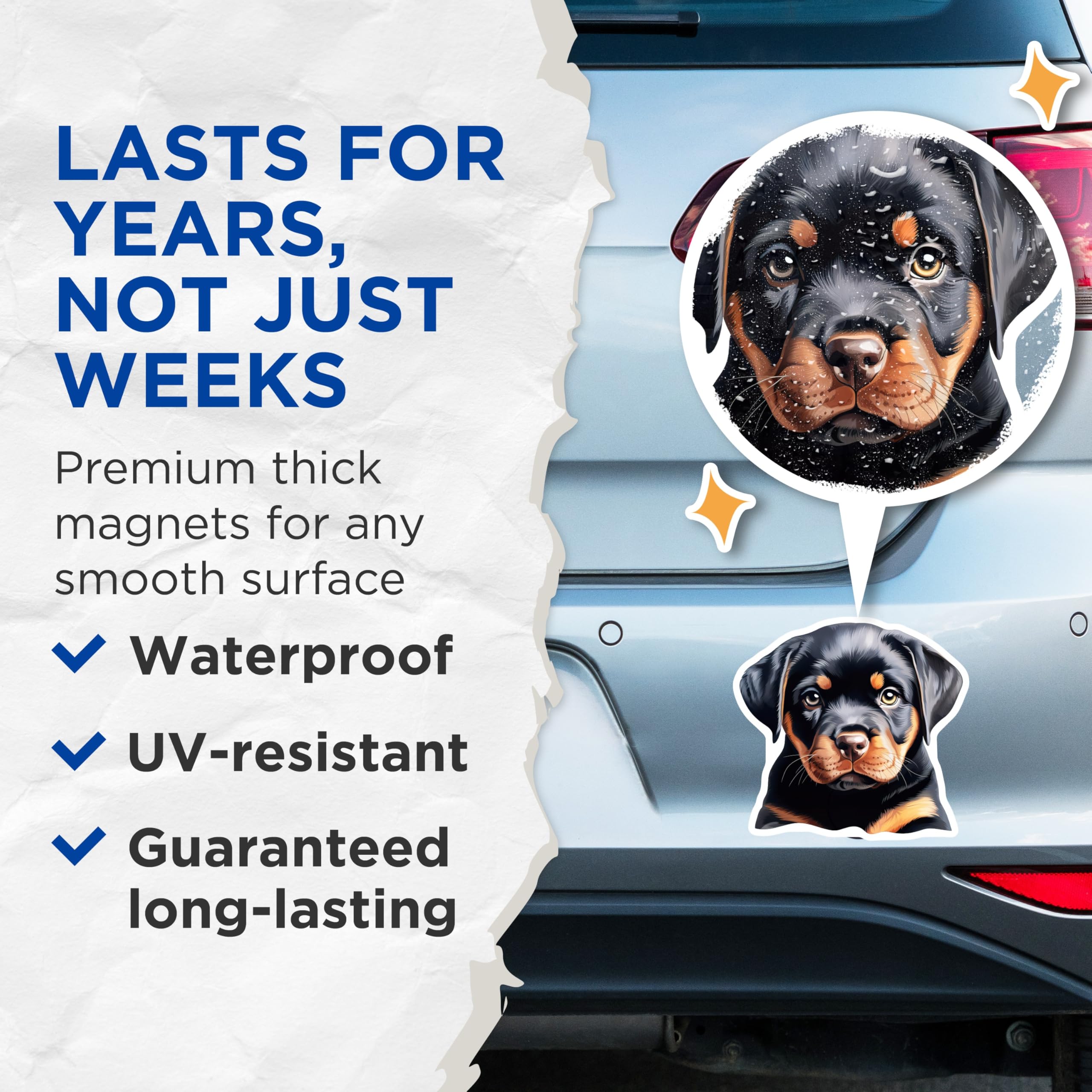 (2 Pack) Rottweiler Puppy Magnets - Adorable Dog Breed Art - Cute Canine Pet Lover Collectible - Animal Themed Fridge Decor - 5 Inches On Longest Side - Thick Durable Magnet - Made in USA - MAG23443