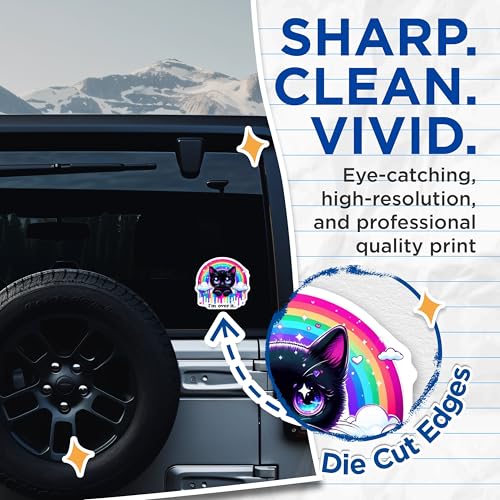(2 Pack) Cute Cat Stickers - Rainbow Cat Sticker - I'm Over It Cat Decal - 5" On Longest Side - Sticks to Smooth Flat Surfaces - Made in USA - BMCS4583