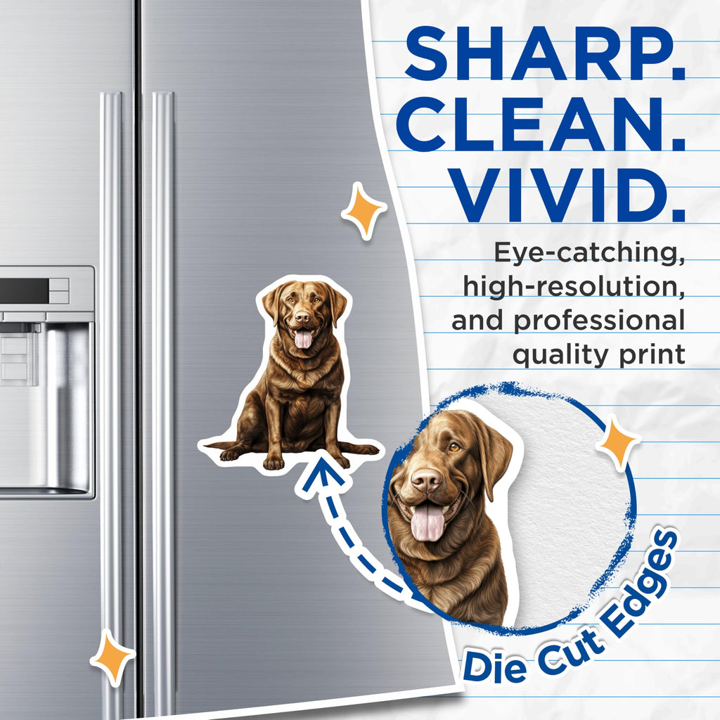 (2 Pack) Chocolate Labrador Dog Magnets - Realistic Lab Retriever Art - Pet Lover Home Decor for Fridge - 5 Inches On Longest Side - Thick Durable Magnet - Made in USA - MAG25109