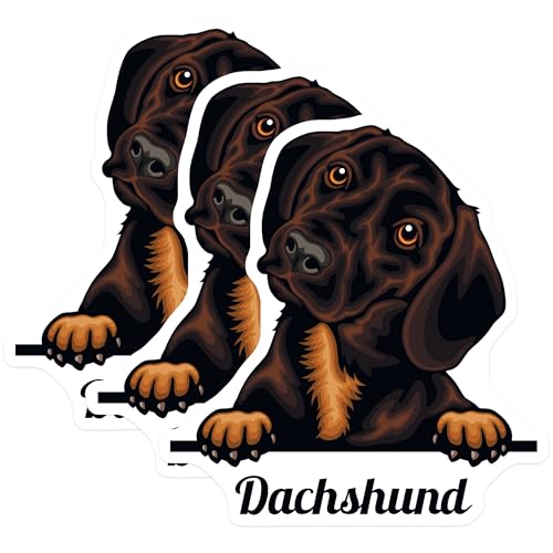 (3 Pack) Dachshund Decals - Cute Dog Stickers - Laptop Decals - 3 Inches On Longest Side - Easy Peel & Apply - Made in USA - 3MCS2987