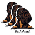 (3 Pack) Dachshund Decals - Cute Dog Stickers - Laptop Decals - 3 Inches On Longest Side - Easy Peel & Apply - Made in USA - 3MCS2987