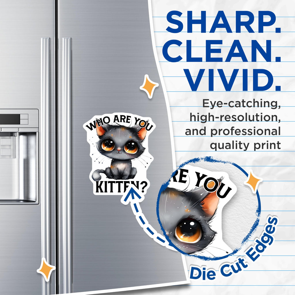 (2 Pack) Kitten Quote Magnets - Cute Cat Art - Refrigerator Decor - 5" On Longest Side - Premium Magnet - for Cars, Refrigerators, Toolboxes, Lockers - Made in USA - MAG16311