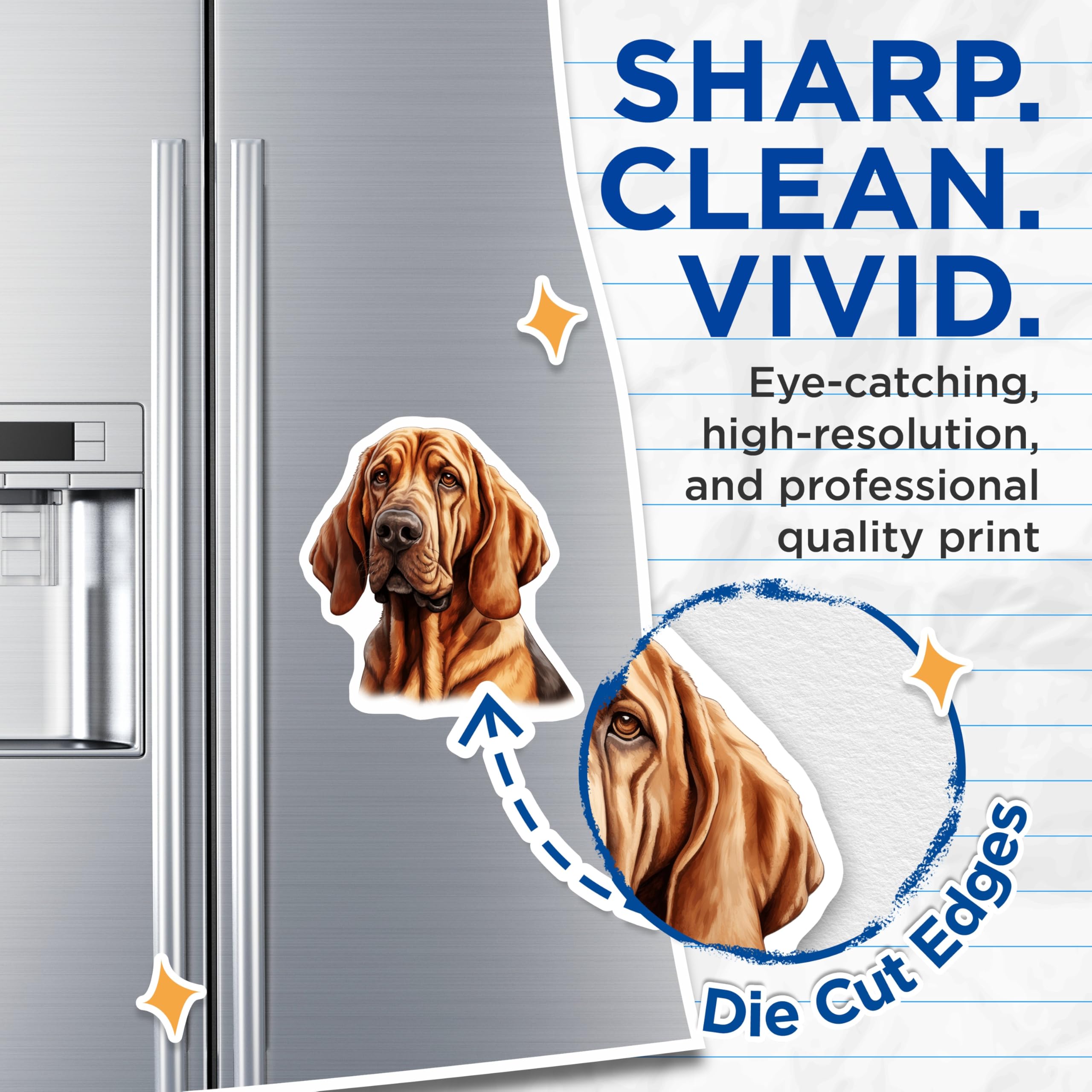 (2 Pack) Bloodhound Dog Magnets - Dog Lover Magnet Set - Dog Mom Dad Present - 5 Inches On Longest Side - Thick Durable Magnet - Made in USA - MAG28413