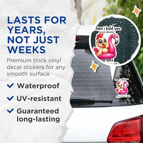 (2 Pack) Funny Chicken Stickers - Exaggerated Slightly Humor Stickers - Quirky Flamingo Stickers - 5" On Longest Side - Sticks to Any Smooth Flat Surface - Made in USA - BMCS2929