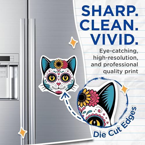(2 Pack) Day of The Dead Cat Magnet - Colorful Cat Decor - 5" On Longest Side - Sticks to Smooth Flat Surfaces - Made in USA - MAG9462