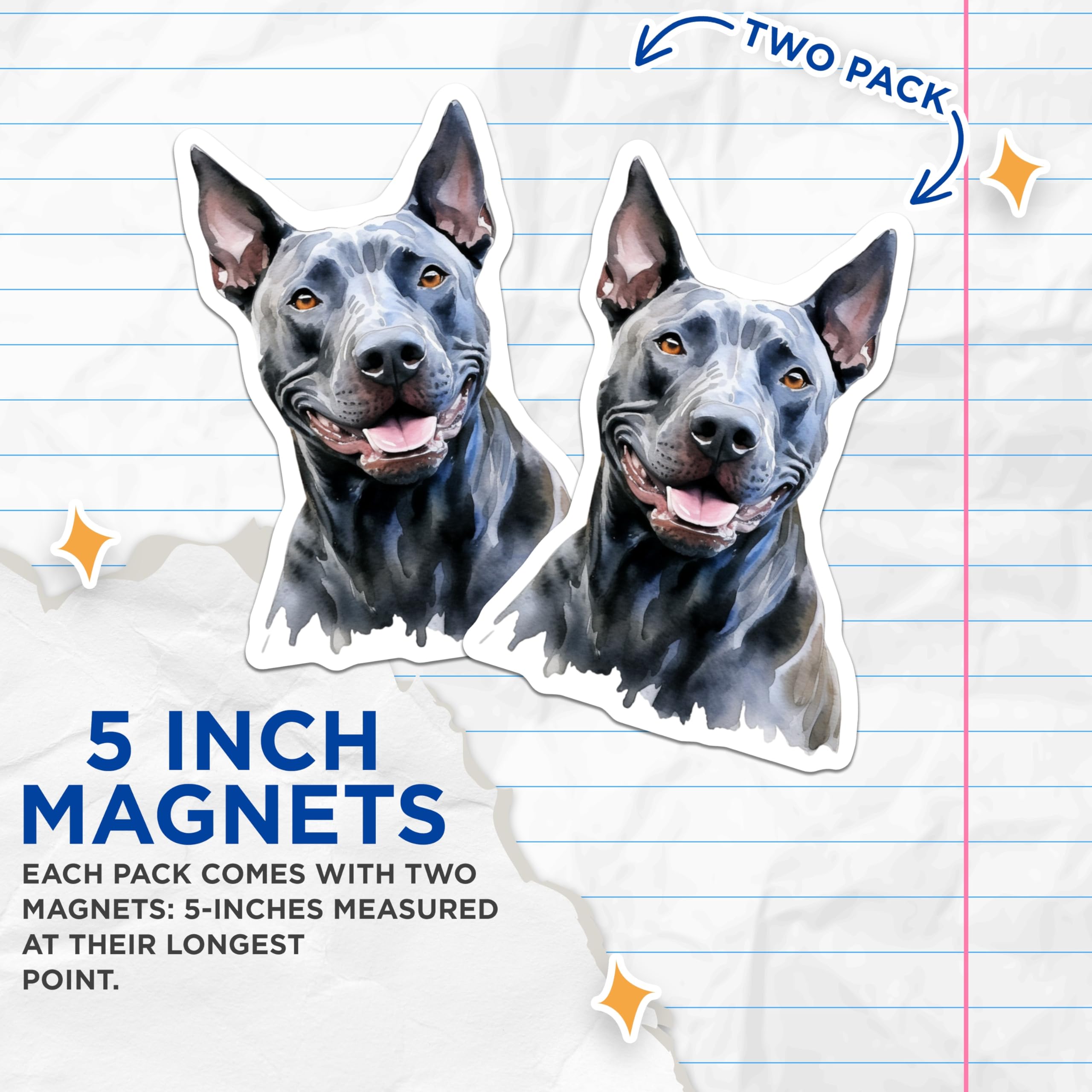 (2 Pack) Thai Ridgeback Dog Magnets - Watercolor Pet Art - Animal Lover Decor - 5 Inches On Longest Side - Thick Durable Magnet - Made in USA - MAG24336