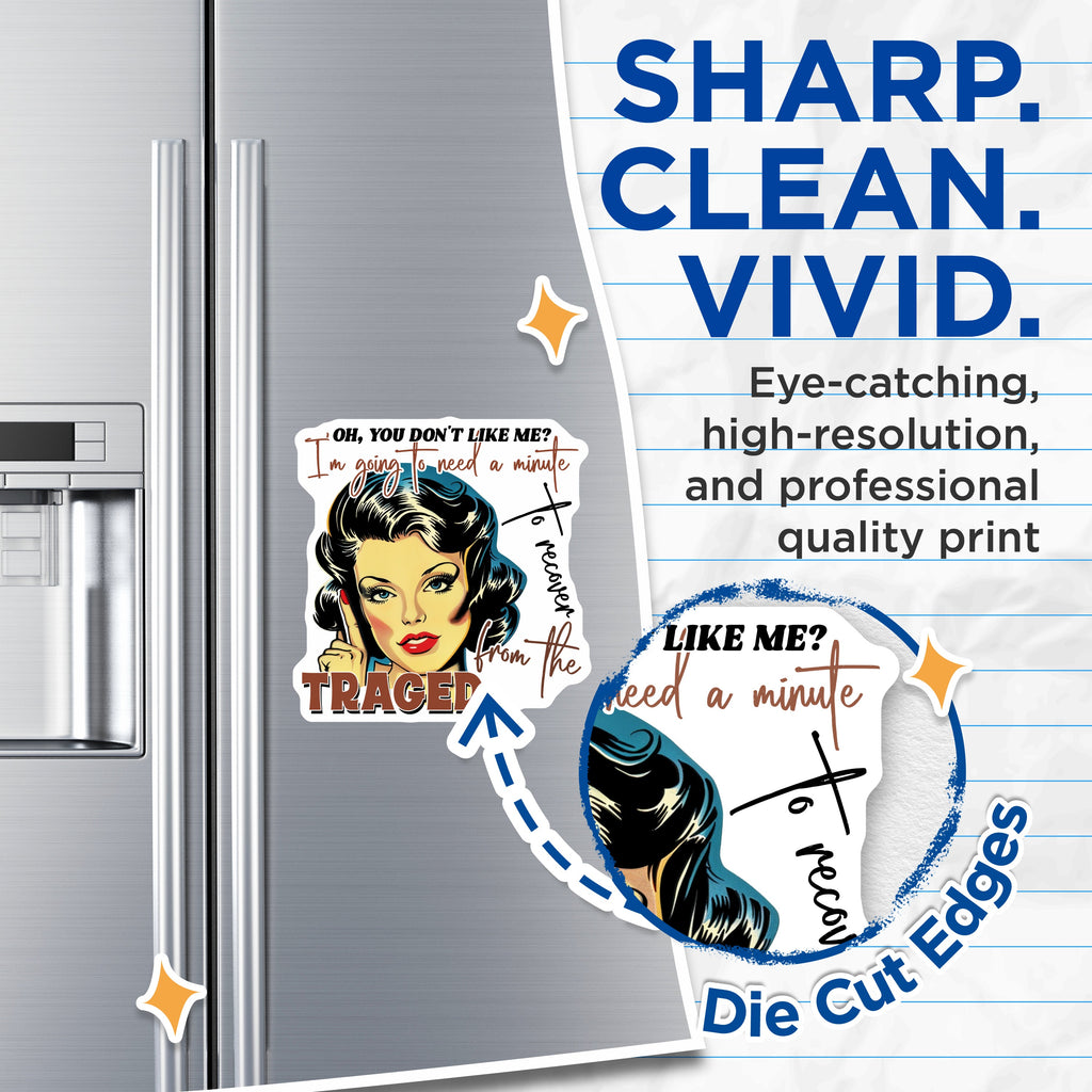 (2 Pack) Sarcastic Diva Magnets - Retro Woman Humor - Witty Quote Fridge Decor - Present for Women - 5 Inches On Longest Side - Thick Durable Magnet - Made in USA - MAG37750