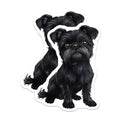 (2 Pack) Brussels Griffon Dog Magnets - Cute Pet Lover Accessories - Dog Mom Dad Kitchen Fridge Decor - 5 Inches On Longest Side - Thick Durable Magnet - Made in USA - MAG29970