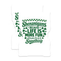 (2 Pack) Shenanigans Magnets - Funny St Patricks Day Decor - Life is More Fun Quote - Irish Humor Fridge Art - 5 Inches On Longest Side - Thick Durable Magnet - Made in USA - MAG20368