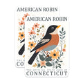(2 Pack) American Robin Magnets - Connecticut State Bird Decor - Folk Art Wildlife Collectible - 5 Inches On Longest Side - Thick Durable Magnet - Made in USA - MAG19210