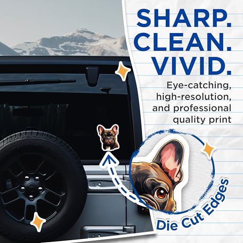 (2 Pack) French Bulldog Stickers - Dog Lover Stickers - Cute Puppy Stickers for Water Bottle Laptop - 5" On Longest Side - Sticks to Smooth Flat Surfaces - Made in USA - BMCS3946