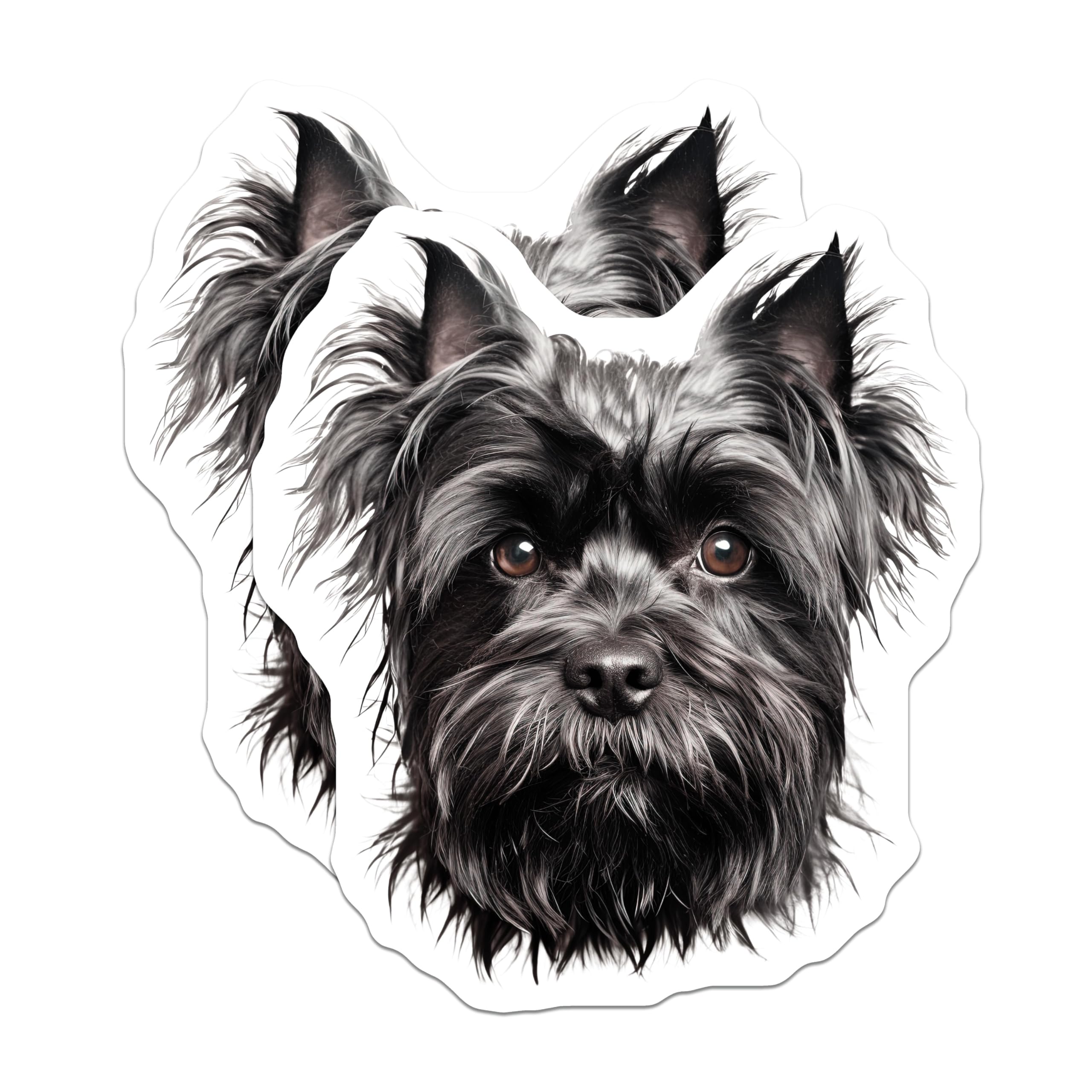 (2 Pack) Black Shaggy Terrier Dog Magnets - Pet Lover Fridge Decor - Cairn Yorkie Schnauzer Style Animal Artwork - 5 Inches On Longest Side - Thick Durable Magnet - Made in USA - MAG25617