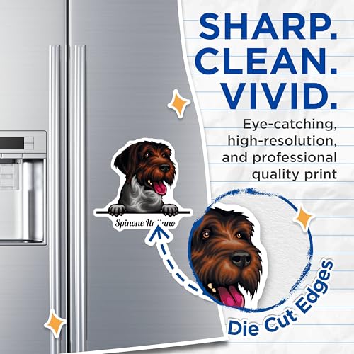 (2 Pack) Spinone Italiano Dog Magnets - Pet Lover - Refrigerator Magnet - Cute Dog Fridge Magnet - 5" On Longest Side - for Cars, Fridges, Toolboxes - Made in USA - MAG4226