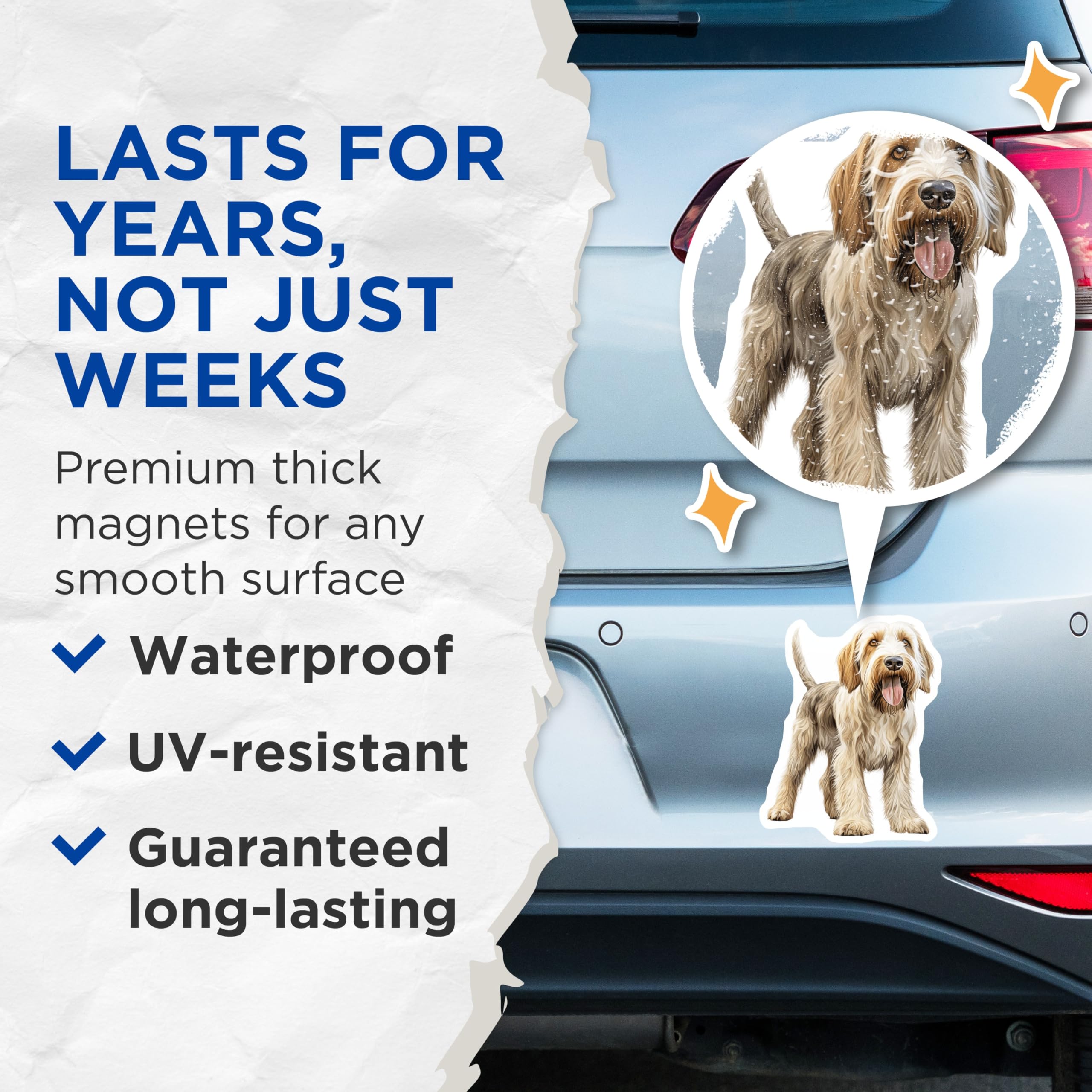 (2 Pack) Grand Basset Griffon Vendeen Magnets - Beloved Dog Breed Art - Shaggy Hound Enthusiast Decor - 5 Inches On Longest Side - Thick Durable Magnet - Made in USA - MAG23598