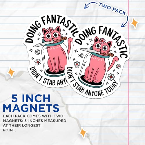 (2 Pack) Doing Fantastic Magnets - Cat Art Magnet - Funny Quote Magnet - Pink Cat Magnet - Humor Magnet for Fridge - 5" On Longest Side - for Cars, Fridges, Toolboxes - Made in USA - MAG4560