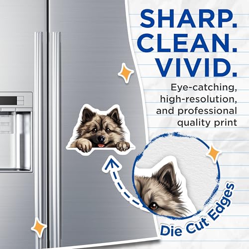 (2 Pack) Animal Fridge Decor Magnet - 5" On Longest Side - Sticks to Smooth Flat Surfaces - Made in USA - MAG10207