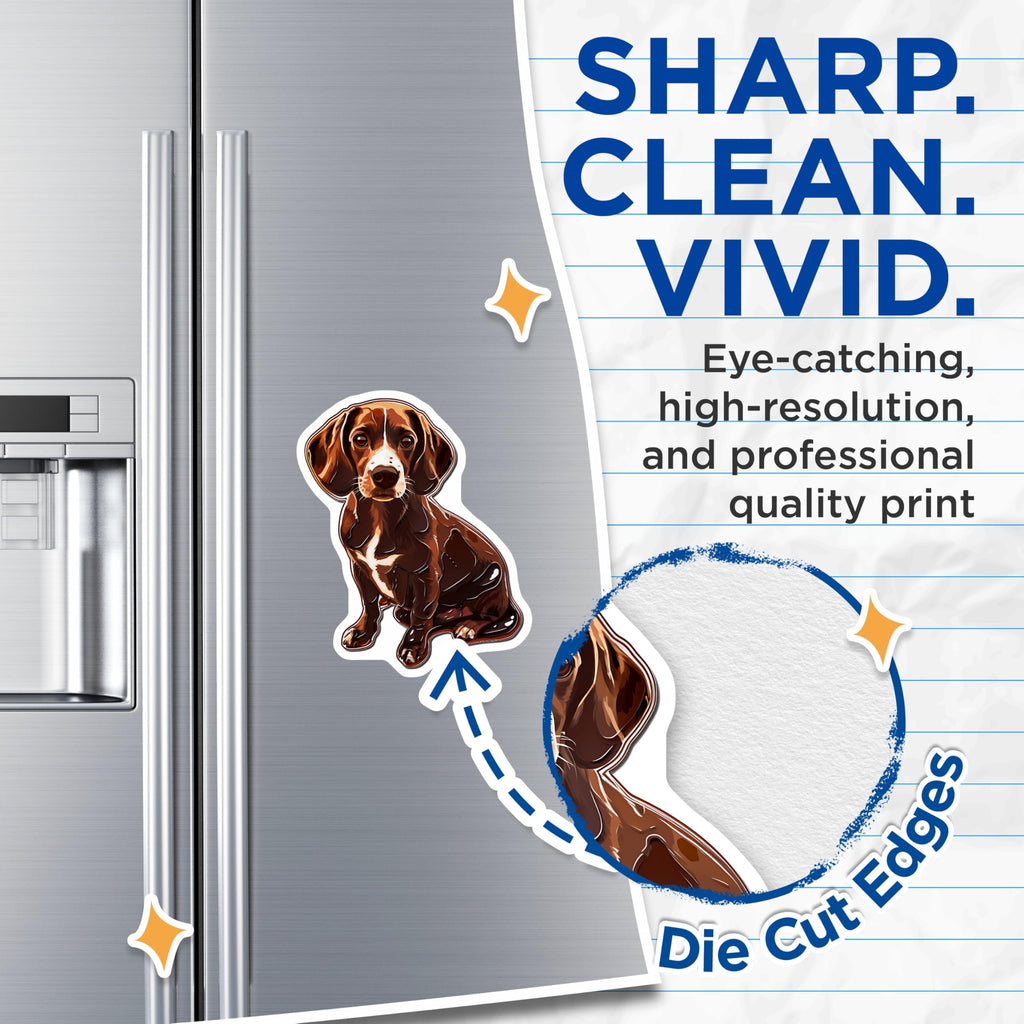 (2 Pack) Dachshund Dog Magnets - Cute Weenie Dog - Fridge Magnets - 5" On Longest Side - Premium Magnet - for Cars, Refrigerators, Toolboxes, Lockers - Made in USA - MAG16531