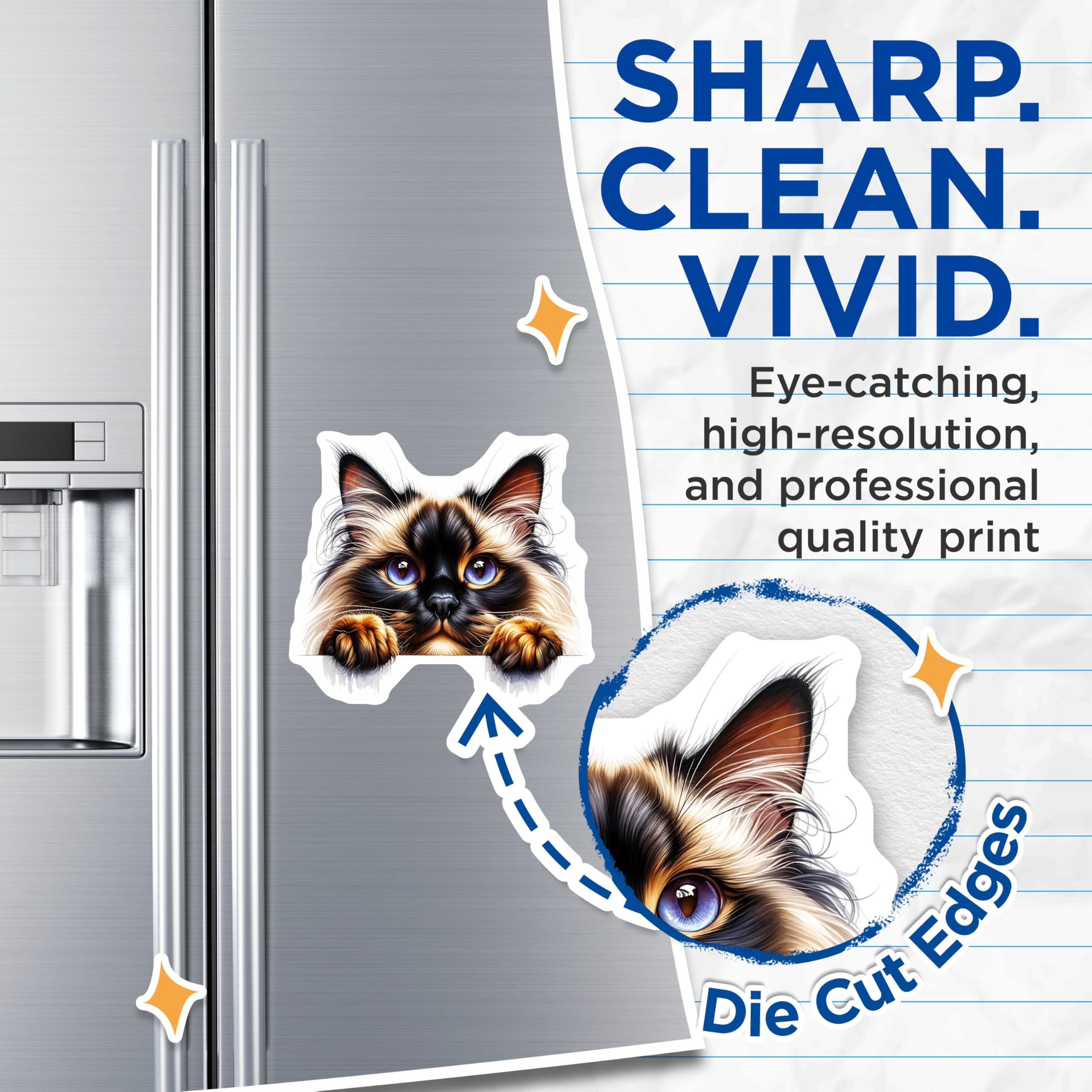 (2 Pack) Ragdoll Cat Magnets - Cute Kitten Art - Refrigerator Magnets - 5" On Longest Side - Premium Magnet - for Cars, Refrigerators, Toolboxes, Lockers - Made in USA - MAG16375