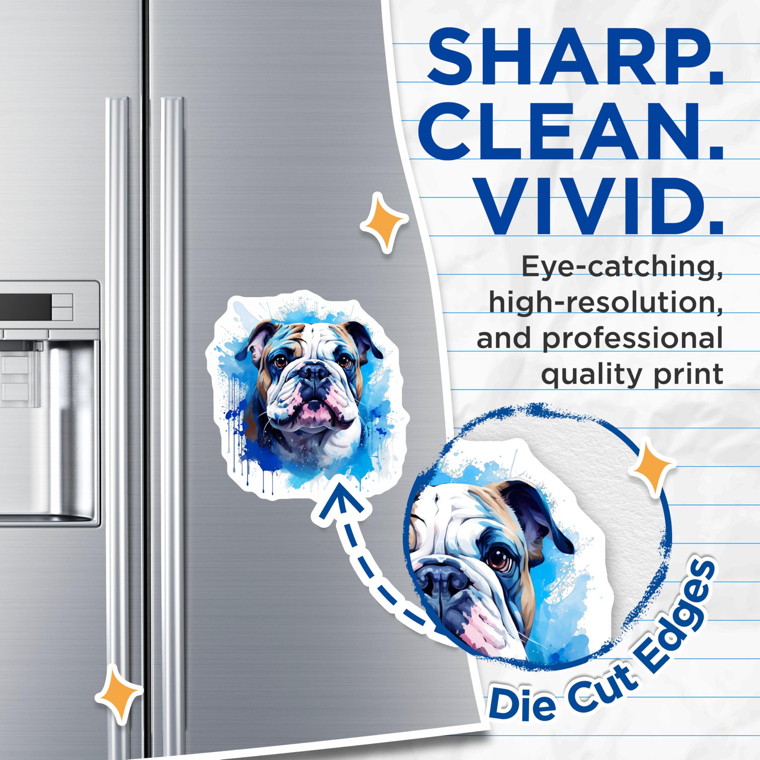 (2 Pack) English Bulldog Magnets - Watercolor Pet Portrait - Bulldog Lover Accents - 5 Inches On Longest Side - Thick Durable Magnet - Made in USA - MAG30613