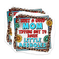 (2 Pack) Good Mom Not Raising Assholes Magnets - Funny Mom Life - Sarcastic Motherhood Quote - 5 Inches On Longest Side - Thick Durable Magnet - Made in USA - MAG26526