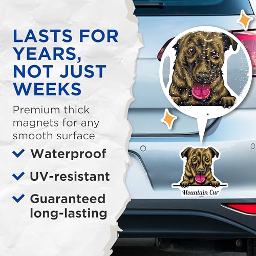 (2 Pack) Mountain Cur Magnets - Cute Dog Magnets - Pet Lover - Rustic Animal Magnets - 5" On Longest Side - for Cars, Fridges, Toolboxes - Made in USA - MAG4220