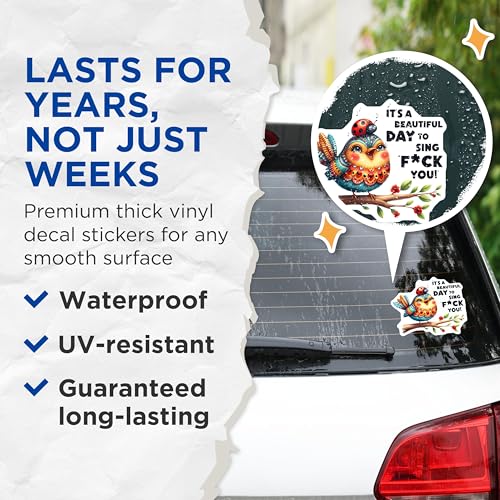 (2 Pack) Beautiful Day Funny Bird Stickers - Motivational Quote Stickers - Cute Animal Humor Stickers - 5" On Longest Side - Sticks to Smooth Flat Surfaces - Made in USA - BMCS5894
