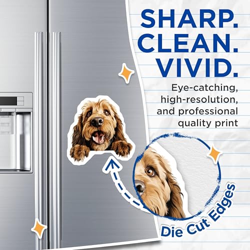 (2 Pack) Funny Pet Decor Magnet - Dog Owner Gifts - Home Decoration - 5" On Longest Side - Sticks to Smooth Flat Surfaces - Made in USA - MAG10241