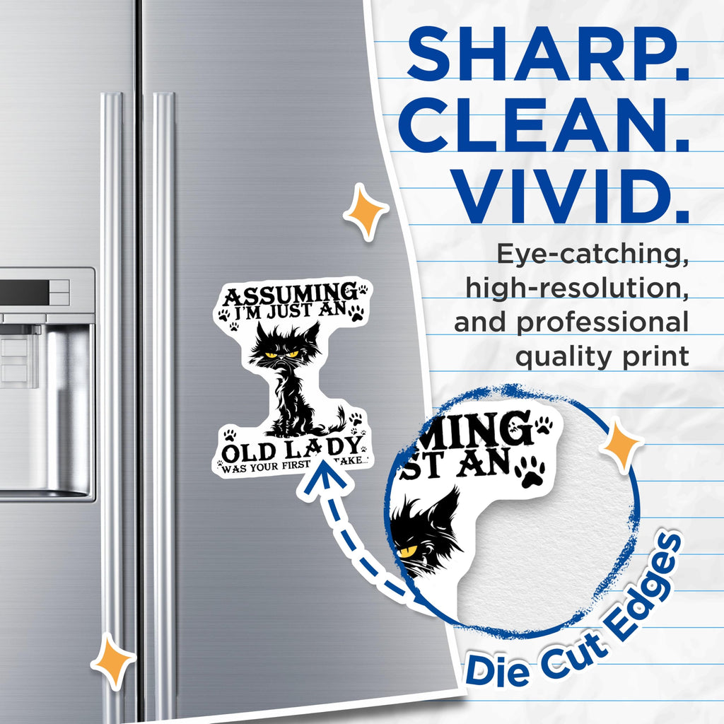 (2 Pack) Black Cat Magnets - Grumpy Cat Saying - Old Lady First Mistake Fridge Magnet - 5" On Longest Side - Premium Magnet - for Cars, Refrigerators, Toolboxes, Lockers - Made in USA - MAG14942