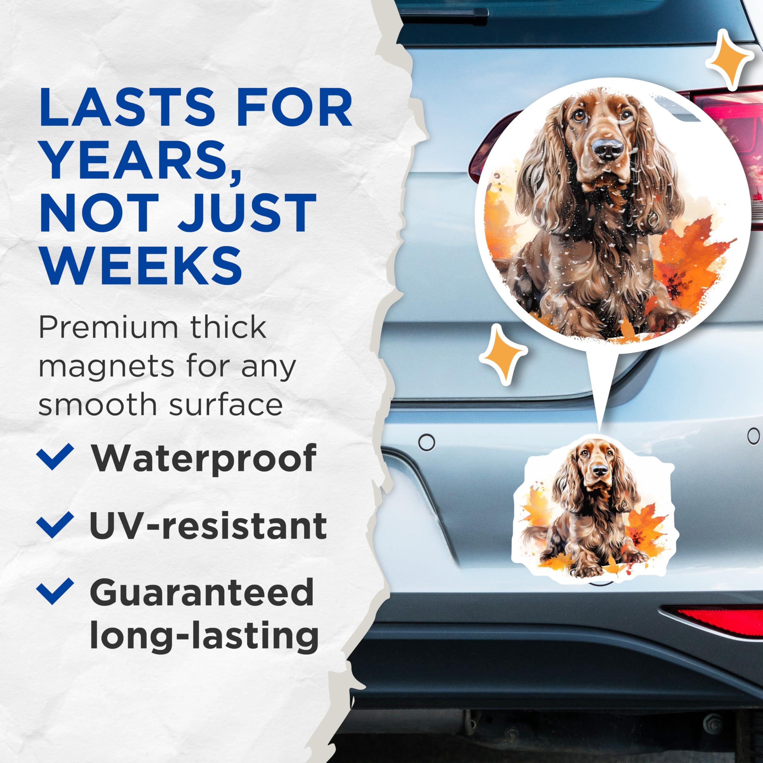 (2 Pack) Cocker Spaniel Magnets - Dog Lover Decor - Fall Autumn Leaves Art - Cute Pet Fridge Decor - 5 Inches On Longest Side - Thick Durable Magnet - Made in USA - MAG29163