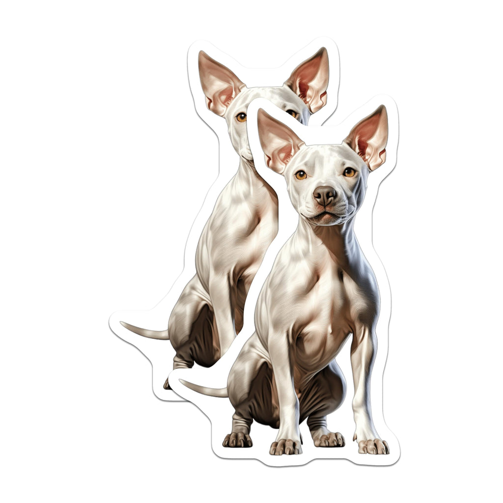 (2 Pack) White Hairless Dog Magnets - Xoloitzcuintli Art - Unique Pet Lover Appliance Decor - 5 Inches On Longest Side - Thick Durable Magnet - Made in USA - MAG29057