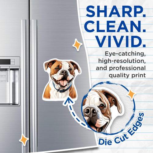 (2 Pack) American Bulldog Magnets - Dog Lover Decor - Smiling Bully Breed Art - Pet Parent Refrigerator Accent - 5 Inches On Longest Side - Thick Durable Magnet - Made in USA - MAG29073