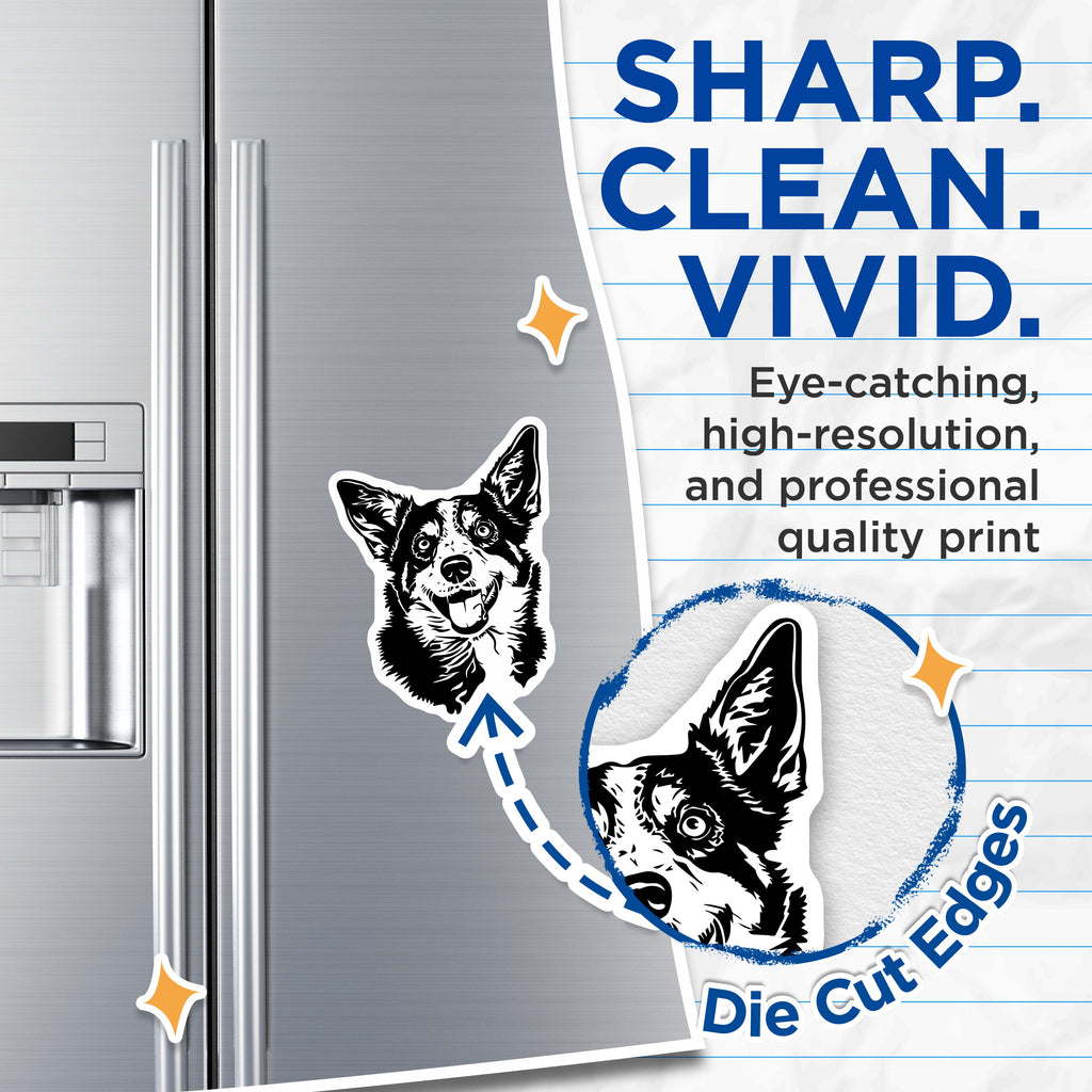 (2 Pack) Happy Corgi Dog Magnets - Smiling Corgi Head Refrigerator Magnet - Pet Lover Animal Decor for Dog Owners - 5 Inches On Longest Side - Thick Durable Magnet - Made in USA - MAG36493