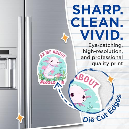 (2 Pack) Axolotl Magnets - Cute Axolotl Cartoon - Fun Axolotl Decoration - 5" On Longest Side - for Cars, Fridges, Toolboxes - Made in USA - MAG7789