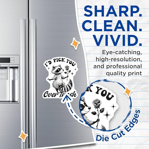 (2 Pack) I'd Pick You Over Trash Magnets - Cute Raccoon Magnets - Funny Animal Magnets - 5" On Longest Side - for Cars, Refrigerators, Toolboxes, Lockers - Made in USA BMCS3503