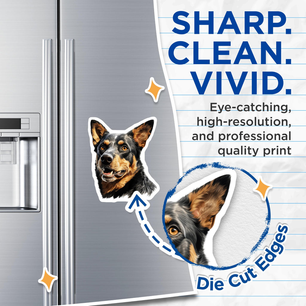 (2 Pack) Australian Cattle Dog Magnets - Blue Heeler Dog Art - Pet Lover Decor Accessory - 5 Inches On Longest Side - Thick Durable Magnet - Made in USA - MAG24094