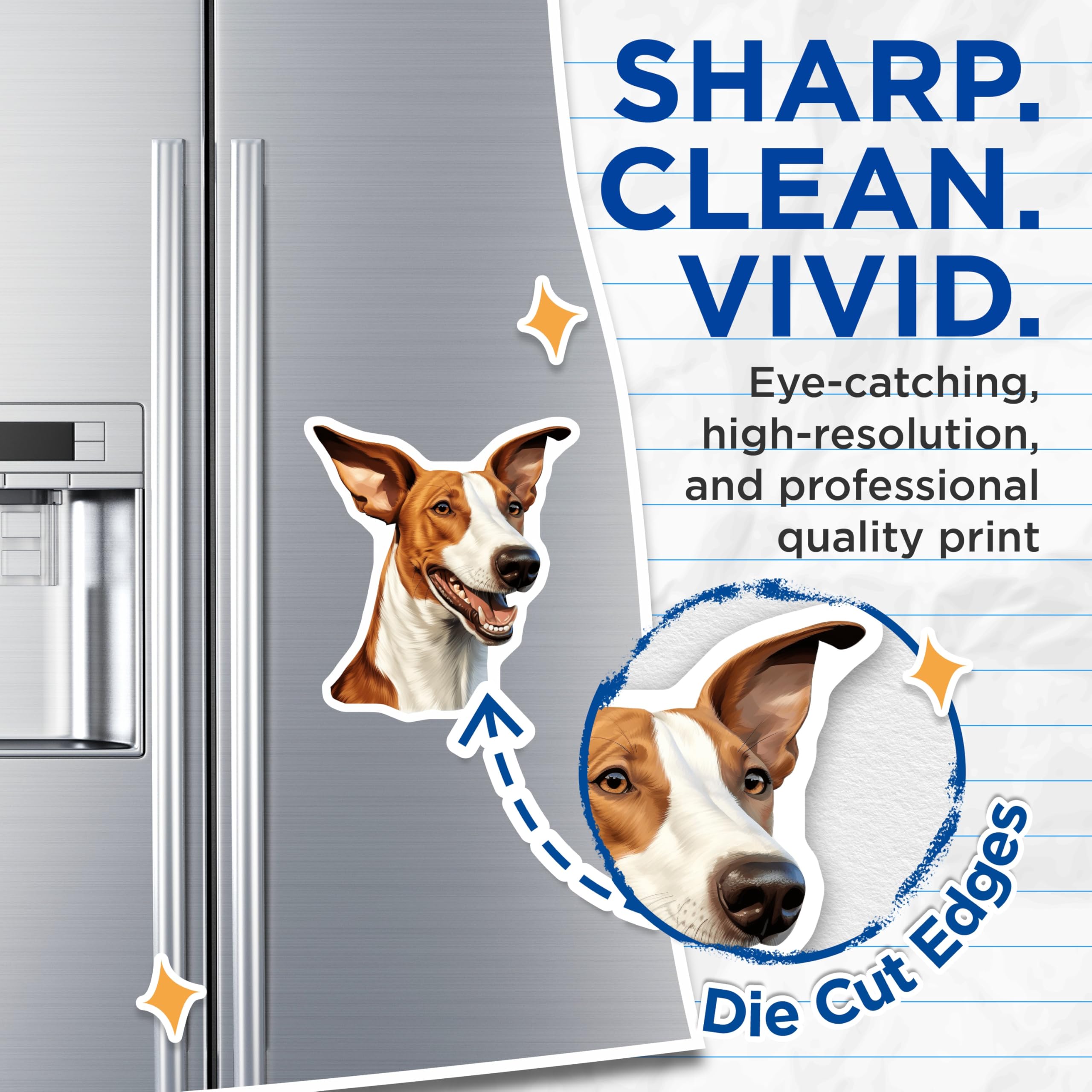 (2 Pack) Basenji Dog Magnets - Happy Pet Art for Dog Owners - Fridge Locker Whiteboard Home Decor - 5 Inches On Longest Side - Thick Durable Magnet - Made in USA - MAG29767