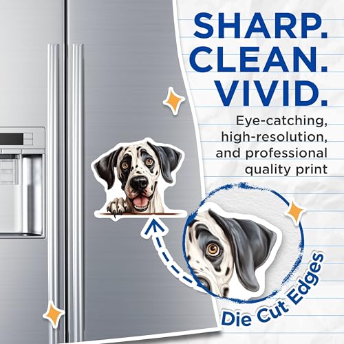 (2 Pack) Animal Lover Decor Magnet - 5" On Longest Side - Sticks to Smooth Flat Surfaces - Made in USA - MAG10185