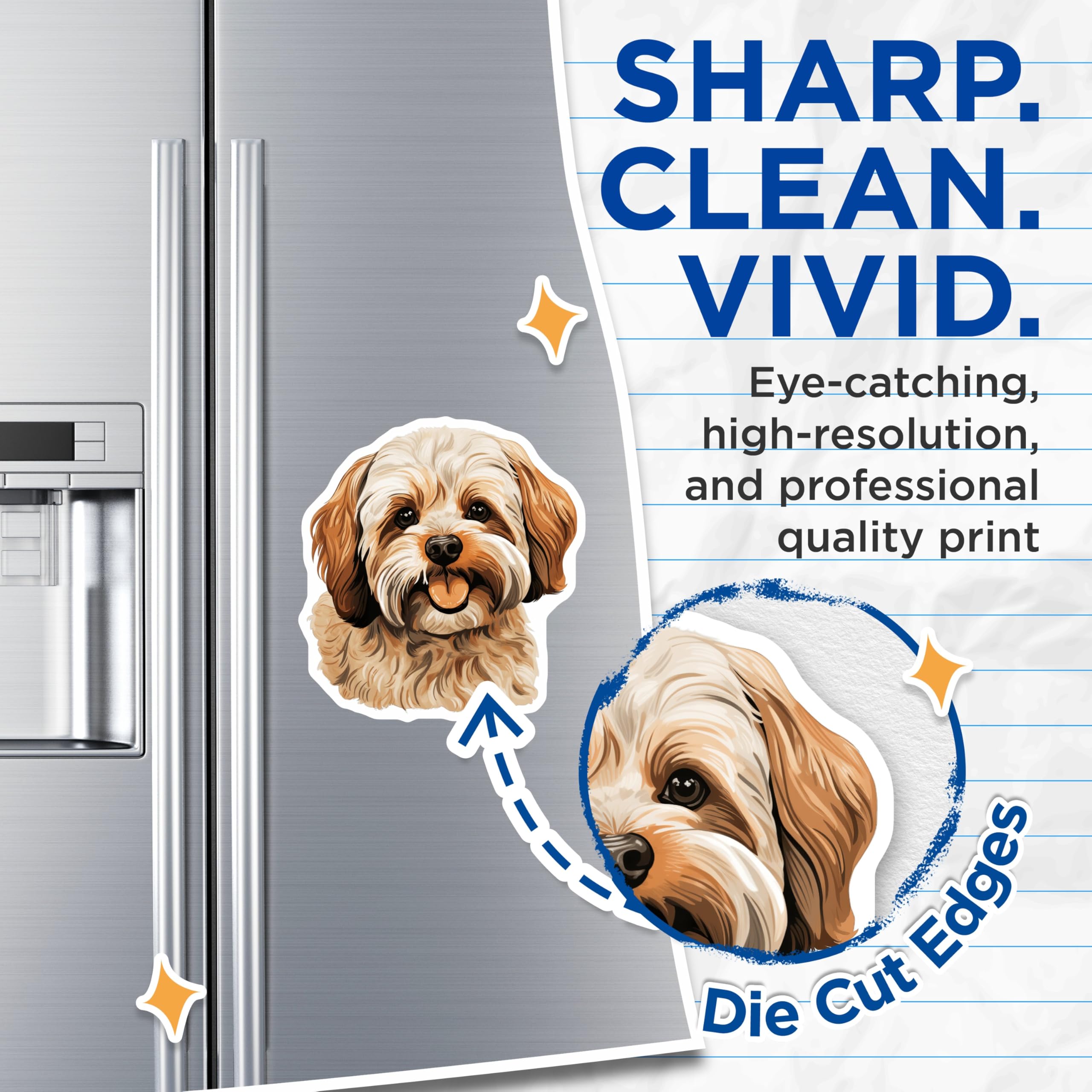 (2 Pack) Havanese Dog Magnets - Dog Mom Fridge Decor - Pet Owner Home Accessory - Animal Lover Kitchen Display - 5 Inches On Longest Side - Thick Durable Magnet - Made in USA - MAG28579