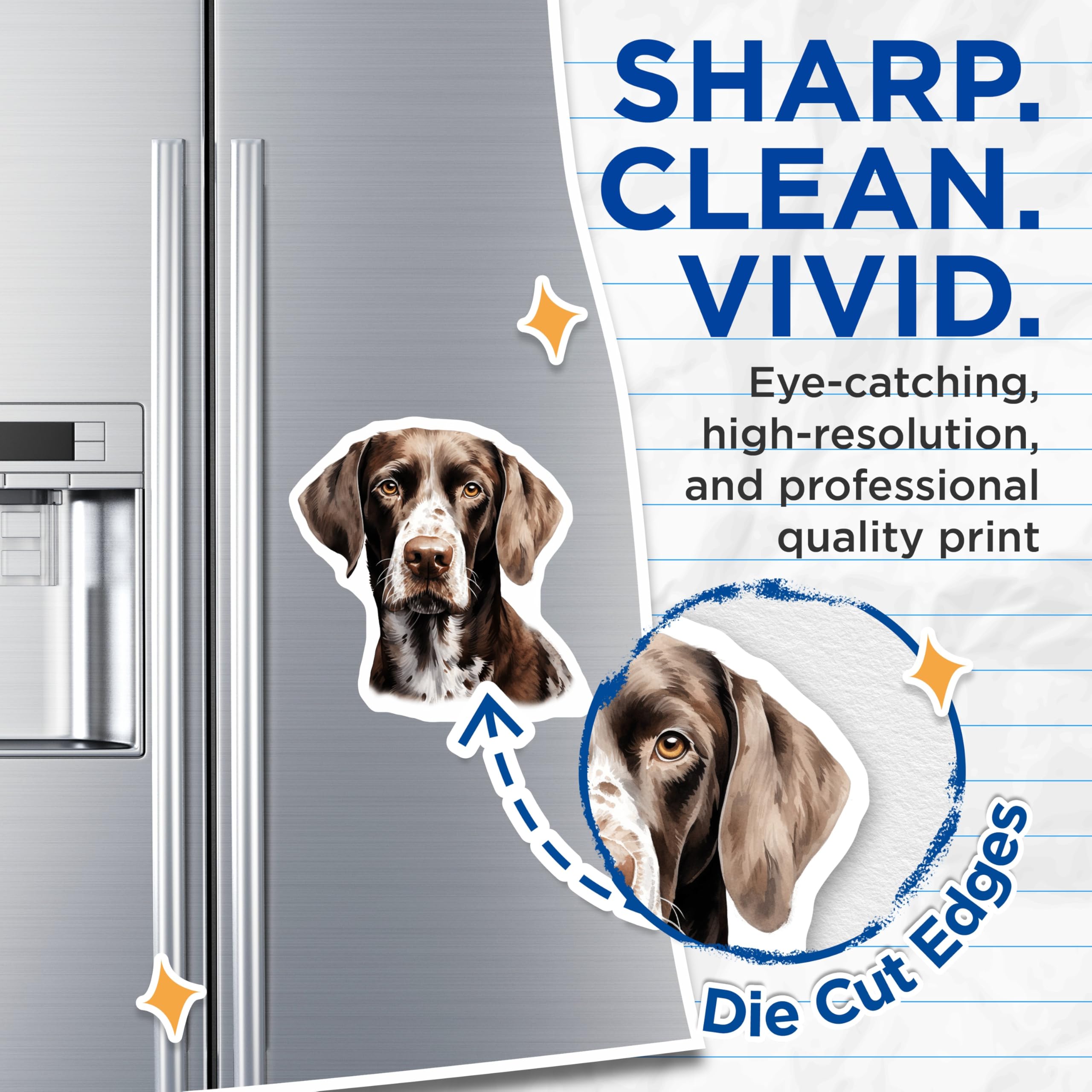 (2 Pack) German Shorthaired Pointer Magnets - GSP Dog Lover Decor - Hunting Dog Kitchen Art - 5 Inches On Longest Side - Thick Durable Magnet - Made in USA - MAG30697