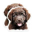 (2 Pack) Chocolate Lab Puppy Magnets - Cute Dog Lover - Pet Parent Decor - 5 Inches On Longest Side - Thick Durable Magnet - Made in USA - MAG30637