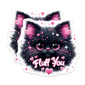 (2 Pack) Fluff You Cat Magnets - Cute Kitten Design - Funny Phrase - Home and Office - 5" On Longest Side - for Cars, Fridges, Toolboxes - Made in USA - MAG4582