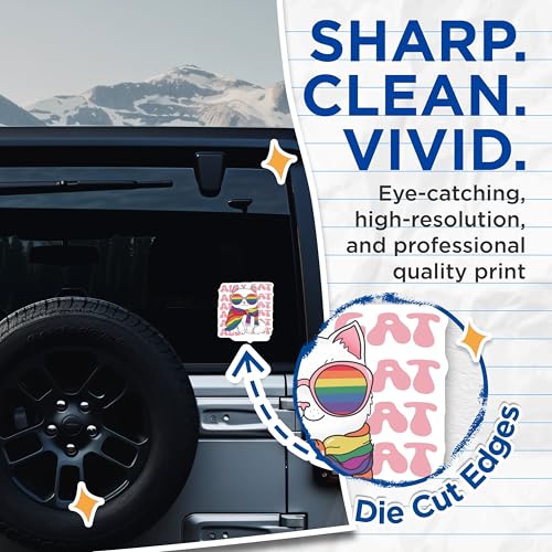 (2 Pack) Ally Cat Stickers - LGBTQ Pride Cat - Rainbow Cat Stickers - 5" On Longest Side - Sticks to Smooth Flat Surfaces - Made in USA - BMCS6839