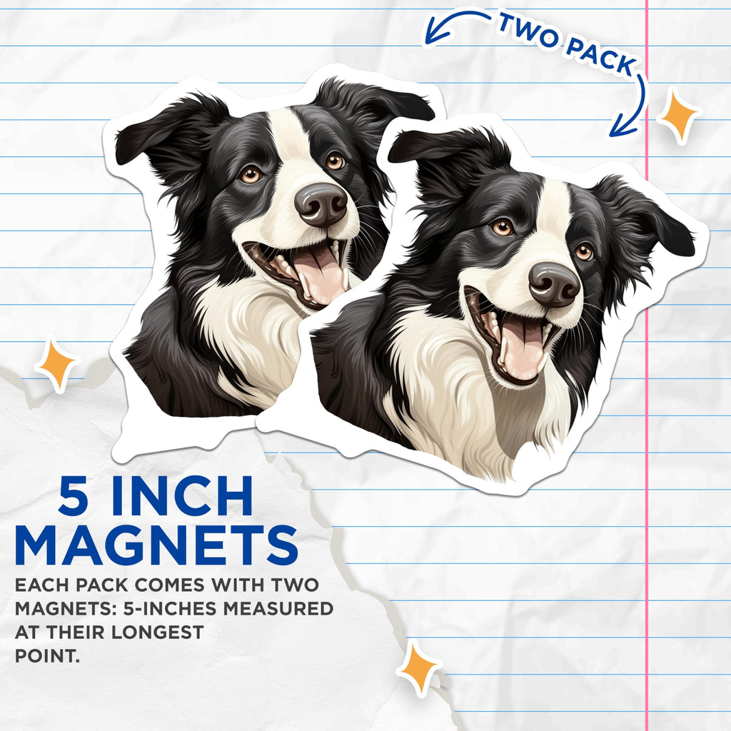 (2 Pack) Border Collie Magnets - Dog Lover Fridge Decor - Pet Parent Kennel Club Gift - Animal Enthusiast Accessory - 5 Inches On Longest Side - Thick Durable Magnet - Made in USA - MAG30144