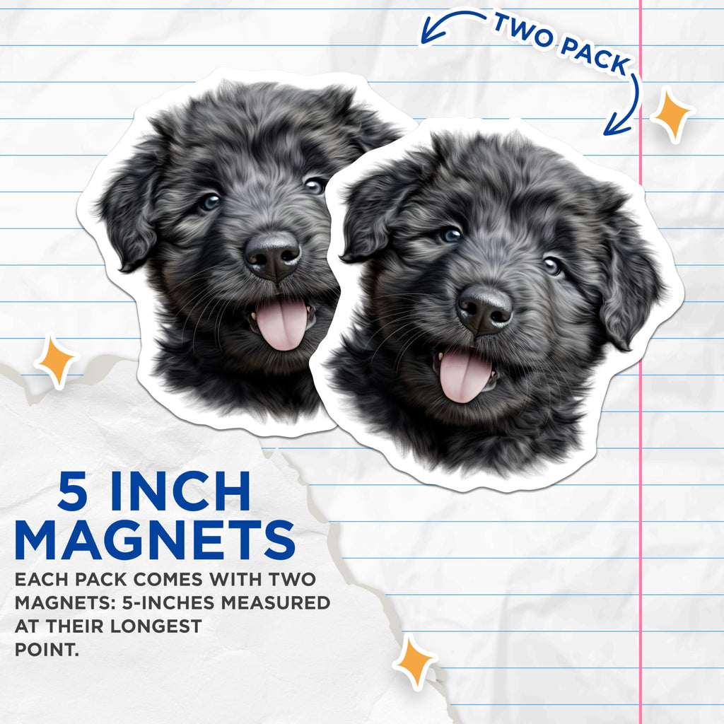 (2 Pack) Black Fluffy Puppy Magnets - Adorable Dog Lover Kitchen Decor - Pet Animal Fridge Locker Refrigerator Accents - 5 Inches On Longest Side - Thick Durable Magnet - Made in USA - MAG23851