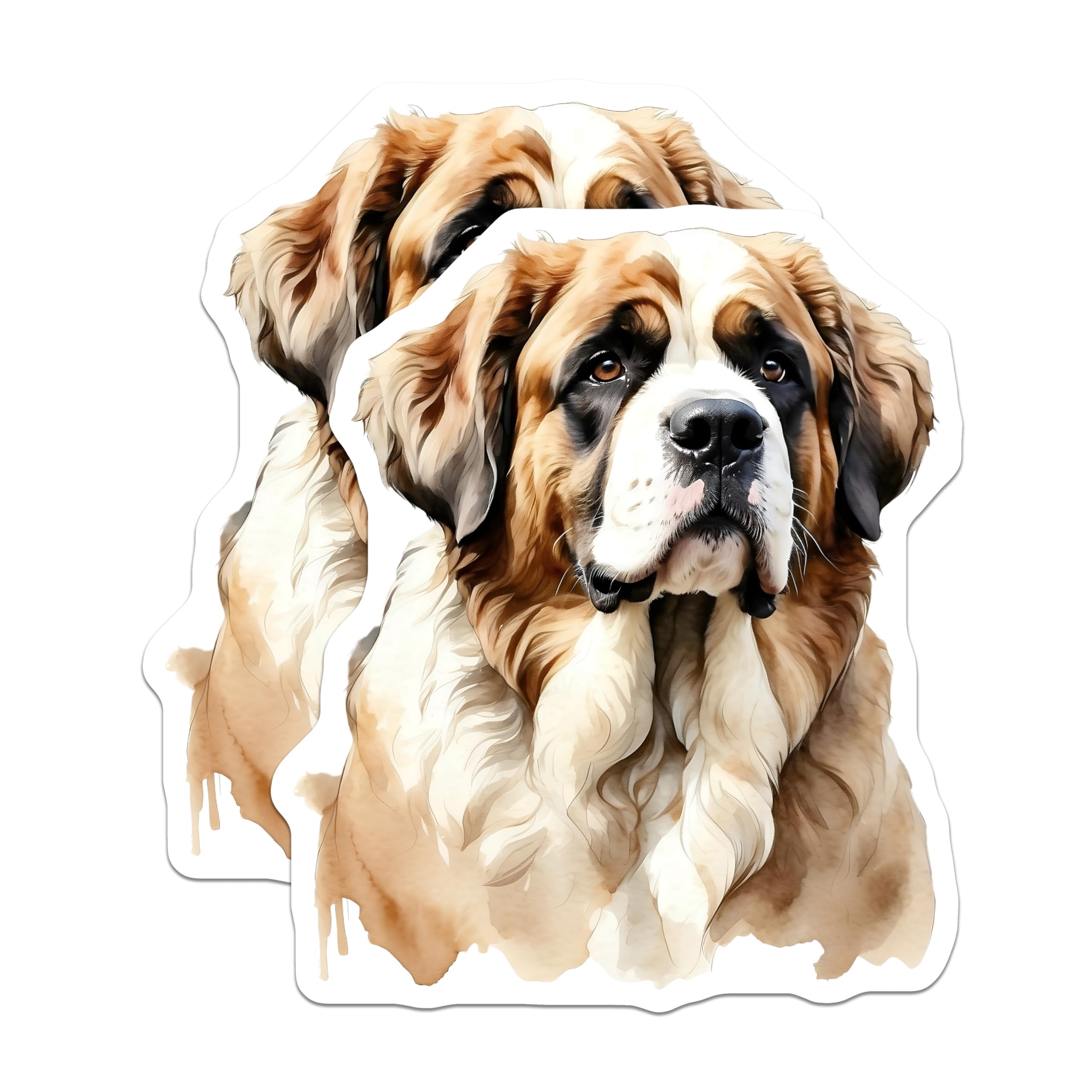 (2 Pack) Saint Bernard Dog Magnets - Pet Lover Decor - Refrigerator Home Accessories - 5" On Longest Side - Premium Magnet - for Cars, Refrigerators, Toolboxes, Lockers - Made in USA - MAG15558