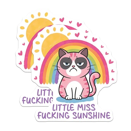 (2 Pack) Grumpy Cat Magnets - Funny Cat Quotes Magnets - Cute Cat Fridge Decor Magnets - 5" On Longest Side - for Cars, Refrigerators, Toolboxes, Lockers - Made in USA BMCS3309