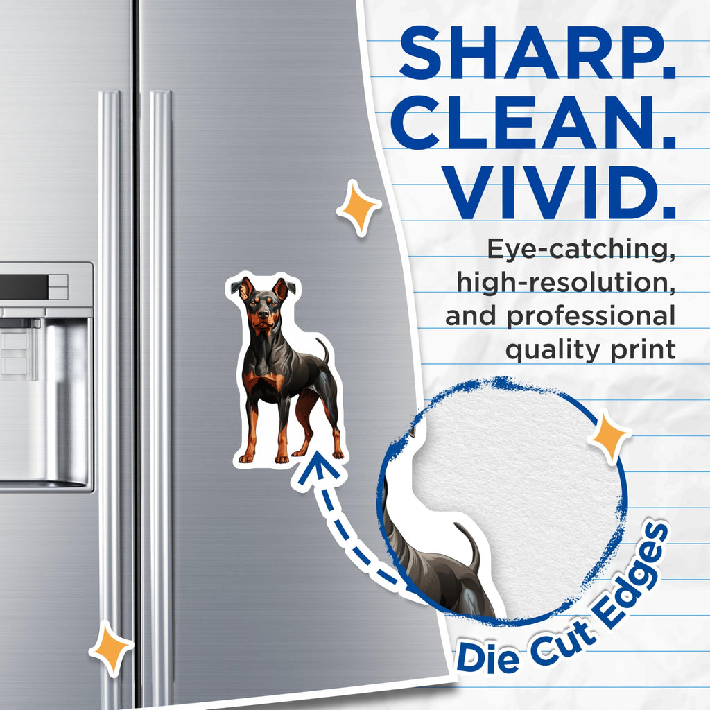 (2 Pack) Doberman Pinscher Magnets - Dog Lover Decor - Pet Owner Fridge Art - 5 Inches On Longest Side - Thick Durable Magnet - Made in USA - MAG29026